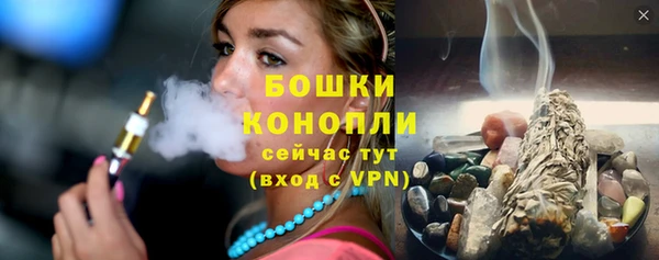 spice Аркадак
