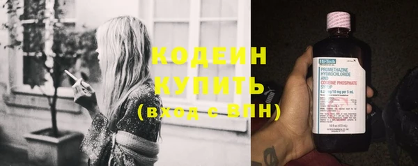 молекула духа Арсеньев