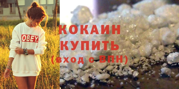 молекула духа Арсеньев