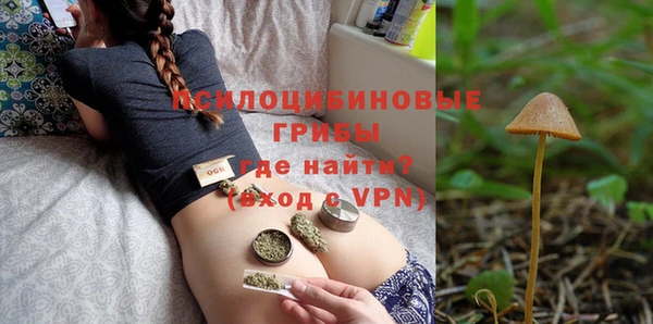 spice Аркадак