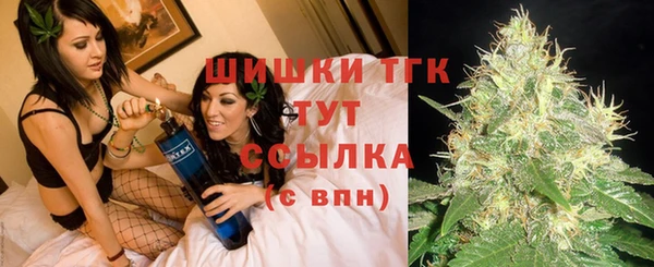 spice Аркадак
