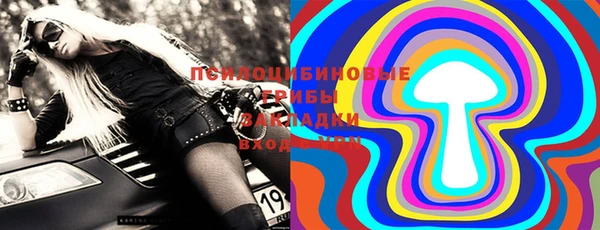 молекула духа Арсеньев