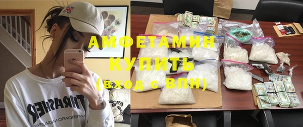 молекула духа Арсеньев
