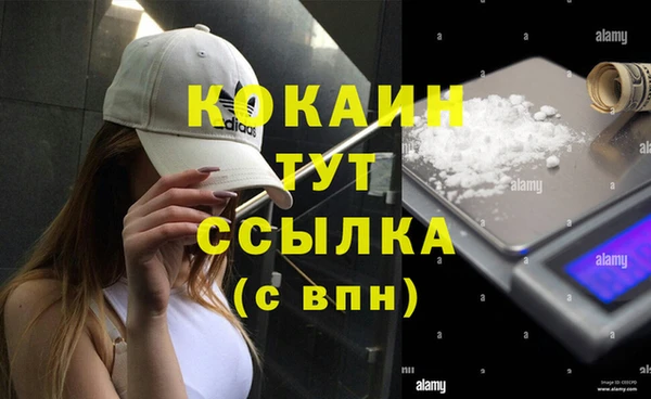 spice Аркадак