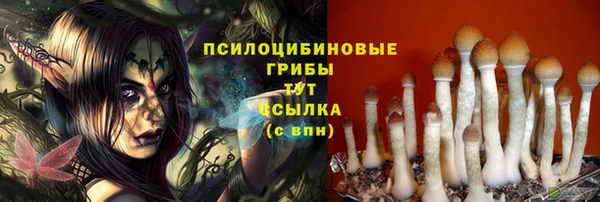 мет Армянск