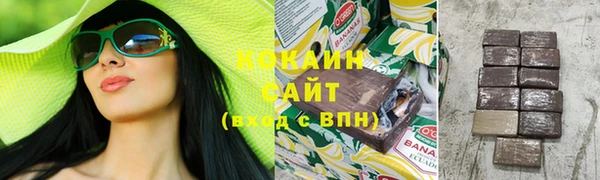 молекула духа Арсеньев