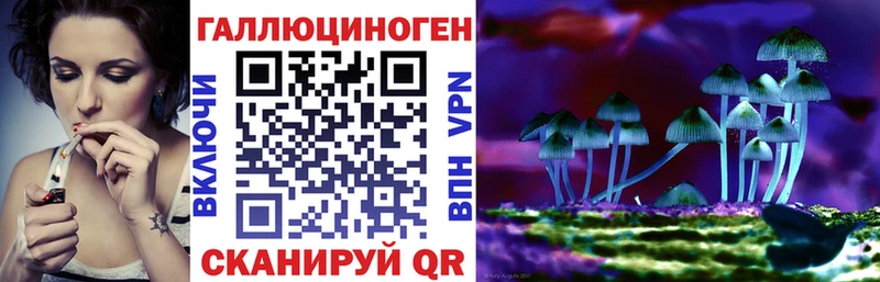 купить наркотики сайты  Медвежьегорск  Псилоцибиновые грибы ЛСД 